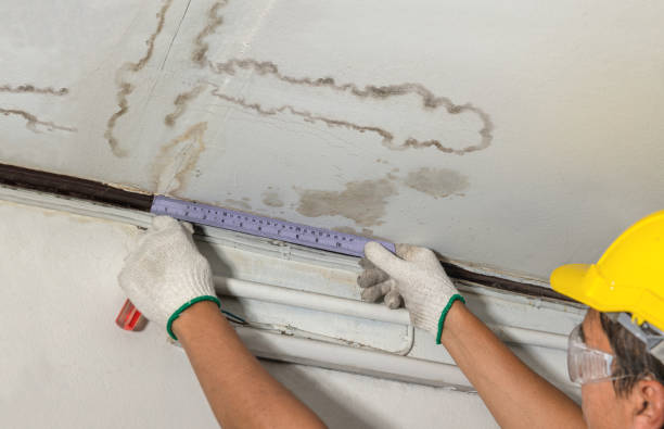 Reliable Water Damage contractor in Reno, TX by Water Damage Irwin